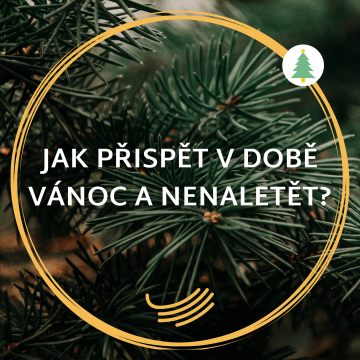 Jak přispět a nenaletět (nejen) v době Vánoc?