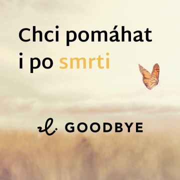 Poslední vůle v onlajnu